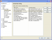 Connection string preferences