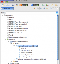 Database Explorer